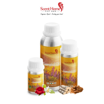 Tinh dầu Scent Homes - mùi hương (BBW Winter Candy Apple)