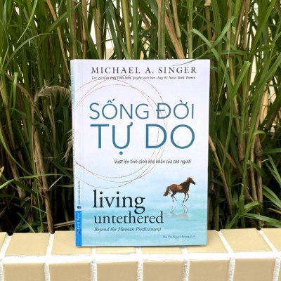 Sống Đời Tự Do - Michael A. Singer - Bùi Ngọc Hương dịch - (bìa mềm)