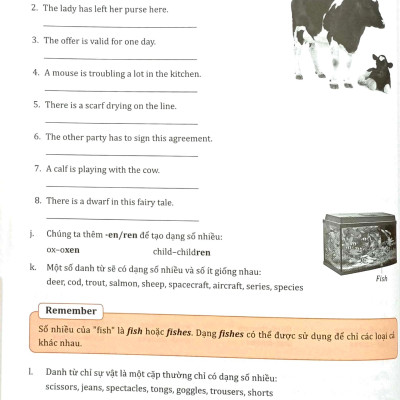 Bài Tập Bổ Trợ Ngữ Pháp Tiếng Anh Lớp 7