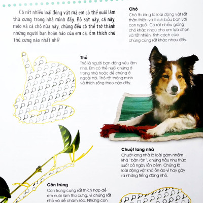 Dán Hình Tuyệt Đỉnh - Các Loài Thú Cưng _DTI