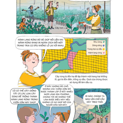 24 Giờ Trong Rừng Nhiệt Đới