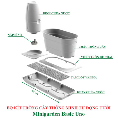 CHẬU TRỒNG CÂY ĐỂ BÀN THÔNG MINH TỰ ĐỘNG TƯỚI BASIC UNO trong 2 tháng