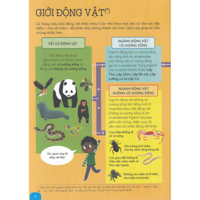 Khám phá rừng già động vật hoang dã - Bản Quyền