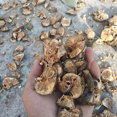 1kg lá+1kg quả bình bát khô