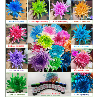 10 chai Nhuộm Hoa tươi dạng nước (Chai 1L x 10 Màu) Công Nghệ Israel giúp hoa nhuộm đổi màu theo ý muốn nhuộm trên 250 cành hoa x 1 chai