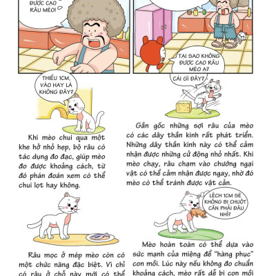 10 Vạn Câu Hỏi Vì Sao - Khám Phá Thế Giới Động Vật - Chạy Trên Mặt Đất 2 (Tái Bản 2018)