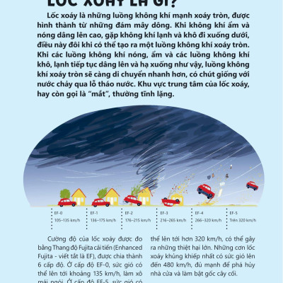 Khám Phá Và Thực Hành Steam Qua Tác Phẩm Kinh Điển - Phù Thủy Xứ Oz