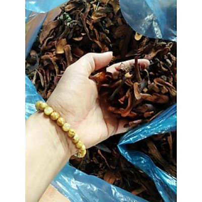 Cốt toái bổ khô đóng túi 1kg