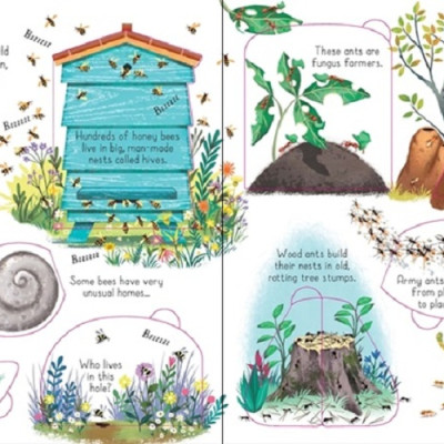 Sách - Anh: Look inside Animal Homes