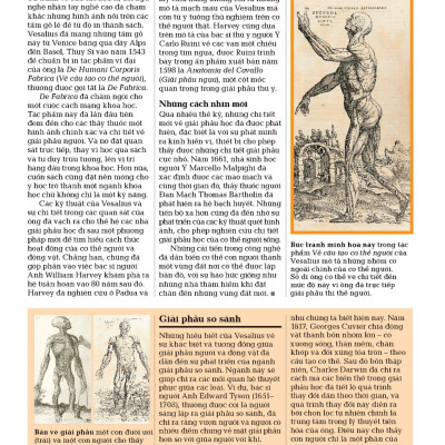 Sách - Sinh Học - Khái Lược Những Tư Tưởng Lớn - Bìa Cứng