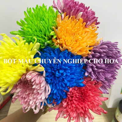 1 Thùng Bột Màu Hoa Tươi "chuyên nghiệp" nhuộm đổi màu hoa cắt cành ( Gồm 8 màu x 1 hủ 110gr)