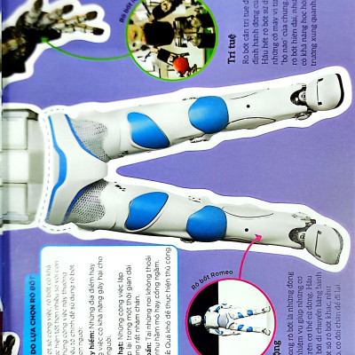 Dkfindout - Những Điều Sách Giáo Khoa Không Dạy Bạn - Rô Bốt