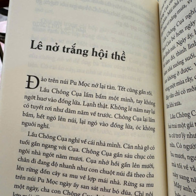 CÁI CHẾT CỦA BẦY ONG - Hữu Vi - NXB Trẻ