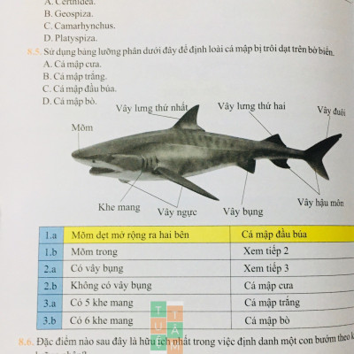 Sách - Bồi dưỡng học sinh giỏi Khoa học tự nhiên 6