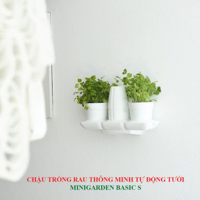 BỘ CHẬU TRỒNG RAU THÔNG MINH TỰ ĐỘNG TƯỚI trong vòng 2 tháng BASIC S, sử dụng 10 năm
