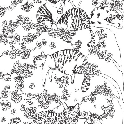 Sách - Meo Meo Phơi Nắng