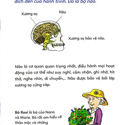 Pixi thông thái - Cơ thể diệu kỳ