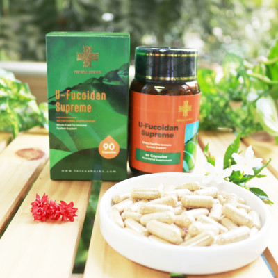 Thực phẩm bảo vệ sức khỏe U-Fucoidan cao cấp  Teresa Herbs U-Fucoidan (Lọ 90 viên)