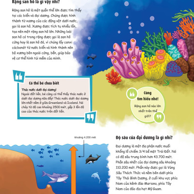 What? Bố Mẹ Ơi Đây Là Cái Gì…? Những Câu Hỏi What Giúp Con Tò Mò Sáng Tạo?