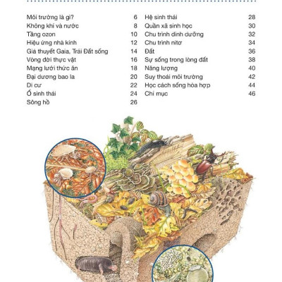 Hành Trình Khám Phá - Môi Trường - Bìa Cứng