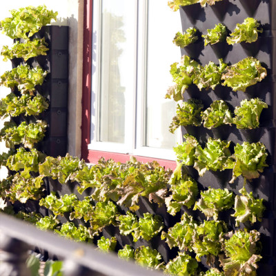 CHẬU TRỒNG RAU ĐỨNG TẠI NHÀ VERTICAL MODULE NHẬP KHẨU CHÂU ÂU MINIGARDEN MÀU TRẮNG (GỒM CHẬU, NẮP VÀ NÚT KHÓA CÀI CHẬU)