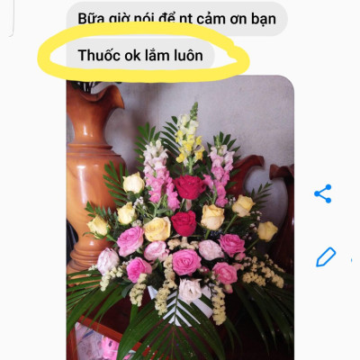 Bột cắm hoa cắt cành Longlife SG của Israel - Food For Cut Flower (Combo 3 hộp 1kg), giúp shop hoa bảo quản hoa tươi lâu và không thay nước, cắt tỉa gốc hay hạn chế thay hoa định kỳ theo tuần