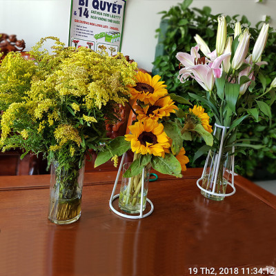 Thuốc cắm hoa Hướng Dương lâu tàn nhập khẩu Israel (Set 50 gói) giúp hoa tươi gấp 2 lần và 14 ngày không thay nước mới