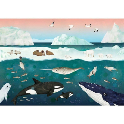 Sách Tranh Song Ngữ - Trên và Dưới - Lật Nhẹ Từng Trang Để Thấy Thiên Nhiên Diệu Kỳ