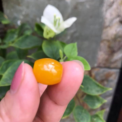 MẶT DÂY CHUYỀN HẠT LU THỐNG CHẤT LIỆU ĐÁ MÃ NÃO MÀU VÀNG TƯƠI LẠ ĐẸP Size Dài 14mm x dầy 13mm