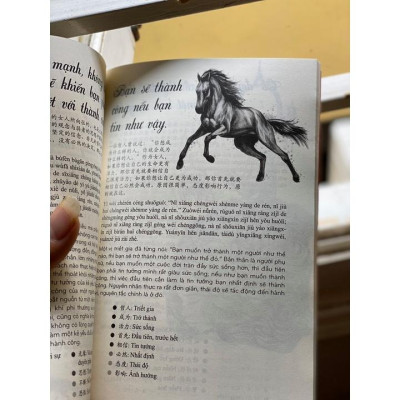 Sách - Combo: Phát triển từ vựng tiếng Trung Ứng dụng (Có Audio nghe) + 101 thông điệp thay đổi cuộc đời phụ nữ + DVD tài liệu