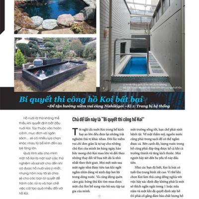 Cá Koi Vietnam - Tập 6