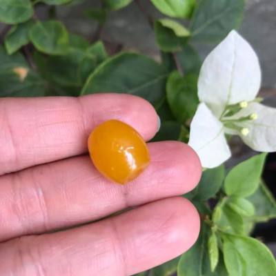 MẶT DÂY CHUYỀN HẠT LU THỐNG CHẤT LIỆU ĐÁ MÃ NÃO MÀU VÀNG TƯƠI LẠ ĐẸP Size Dài 14mm x dầy 13mm