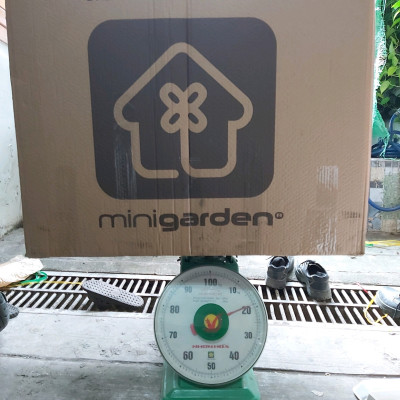 Chậu Trồng Cây Đứng Nhập Khẩu Châu Âu áp tường dạng tường xanh thẳng đứng hiệu Minigarden Vertical (Trọn bộ 3 SET + 1 KHAY nước)