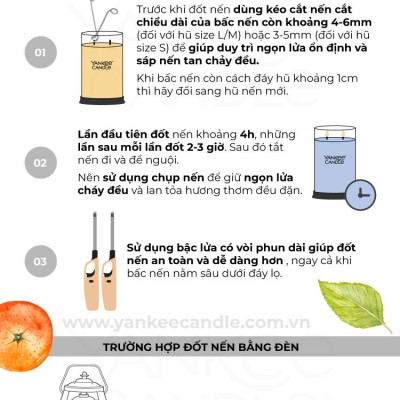 Nến ly tròn sáp đậu nành Yankee Candle size L (567g) - Amber & Sandalwood