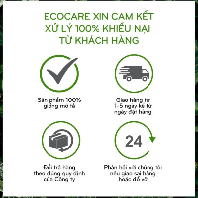 Nước rửa tay hữu cơ diệt khuẩn dạng bọt hương Quế 1000ml thương hiệu Ecocare (tặng kèm vỏ tạo bọt)