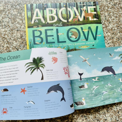 [THIÊN NHIÊN DIỆU KỲ] - Trên Và Dưới - Sách Song Ngữ