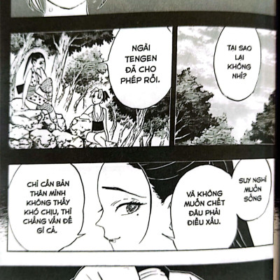 Thanh Gươm Diệt Quỷ Tập 10: Người Và Quỷ