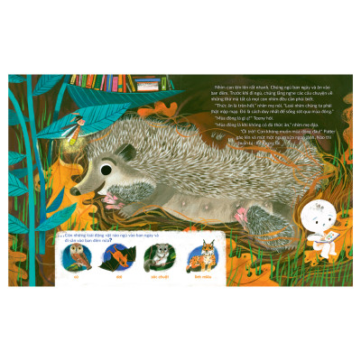 Sách cho bé - Tuli Tuli Kể Chuyện Nhà Ai Ở Đâu - Nhà Nhím Nơi Công Viên - Sách tranh cho bé