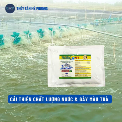 Men vi sinh hạt xử lý đáy thối nước dơ khí độc nước đục diệt rong Probac gây màu tảo khuê trà tôm thẻ cá lươn ếch ốcbaba