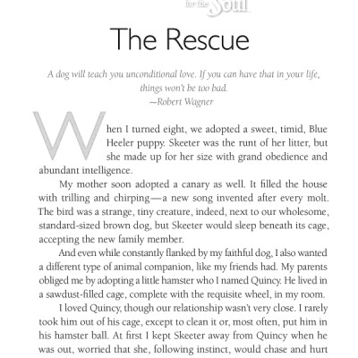 Chicken Soup For The Soul: The Dog Did What?: 101 Amazing Stories Of Magical Moments, Miracles And... Mayhem