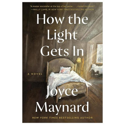 Sách ngoại văn: How The Light Gets In