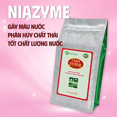 Vi sinh gây màu nước NIAZYME