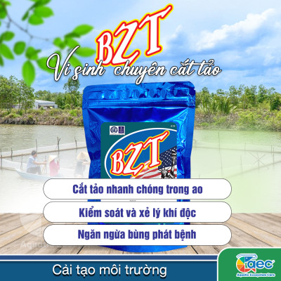 Vi sinh BZT – Chế phẩm vi sinh hỗ trợ kiểm soát tảo và cải thiện môi trường nước ao nuôi