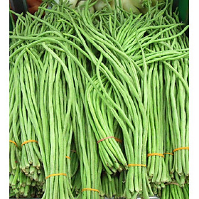 Hạt giống đậu đũa cao sản hạt đen dạng leo VTS23