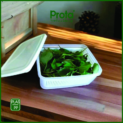 Combo 2 Hộp Thực Phẩm Prota PT961