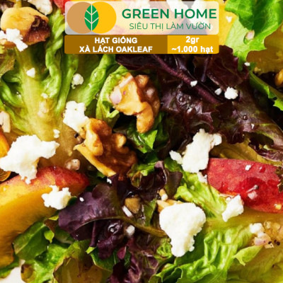 Hạt Giống Xà Lách Oakleaf, Gói 5gr~ 1000 hạt, Dễ Trồng Quanh Năm, Thu Hoạch Nhanh, Năng Suất Cao R22