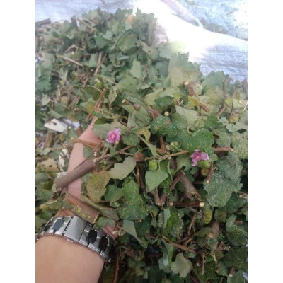 Ké Hoa Đào Khô 1kg 981SP 946sp