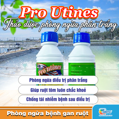 Chế phẩm thảo dược Pro Utines – Giảm nguy cơ phân trắng cho tôm cá