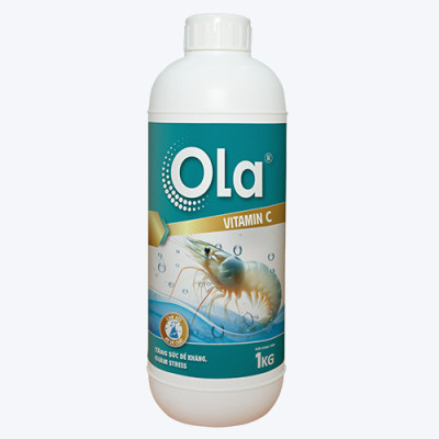 OLA VITAMIN C: Tăng sức đề kháng, chống sốc, chống stress cho tôm
