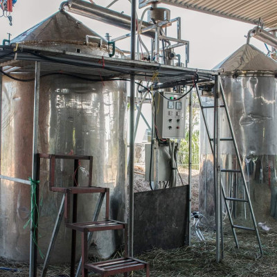 Tinh dầu Bưởi Chùm (bưởi Hồng, bưởi Úc) 10ml Mộc Mây - tinh dầu thiên nhiên nguyên chất 100% - chất lượng và mùi hương vượt trội